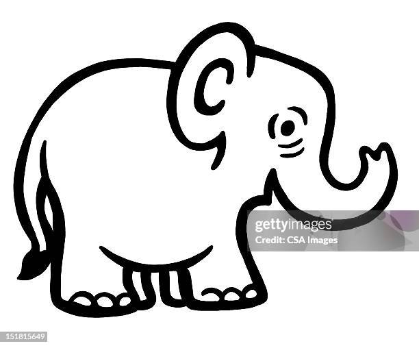 elephant - elephant trunk stock illustrations
