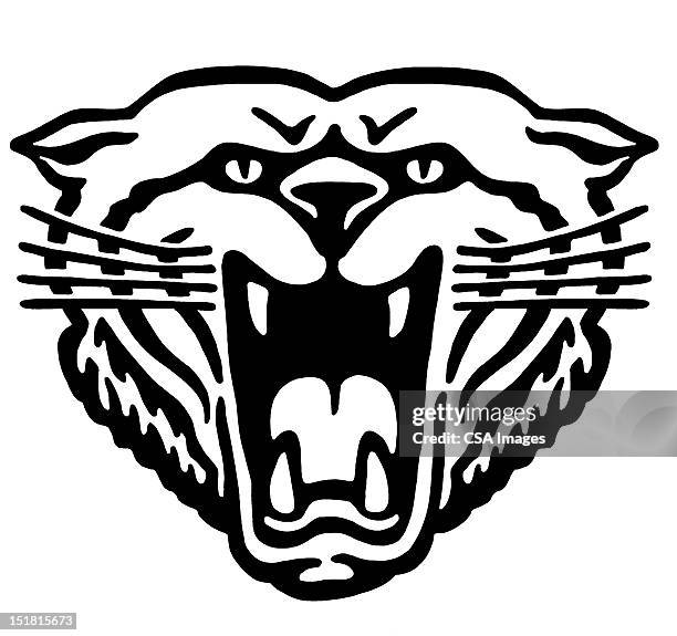 roaring tiger - toughness stock illustrations