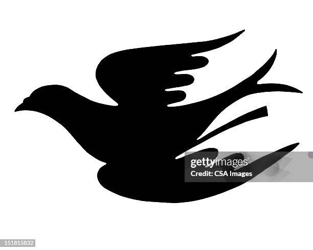 silhouette of dove - lighting technique stock illustrations