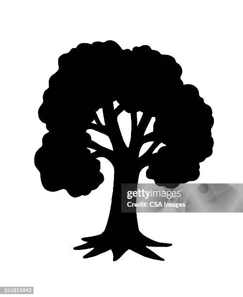 tree - tree trunk stock illustrations