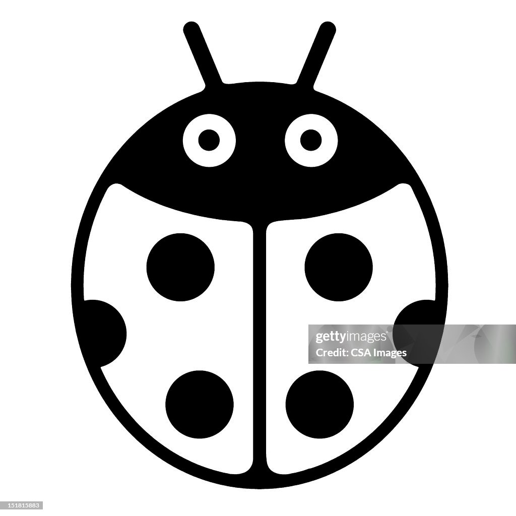 Stylized Ladybug Stylized Lady Bug High-Res Vector Graphic - Getty Images