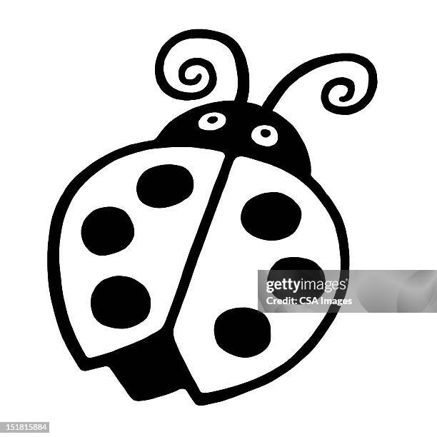 lady bug with curly antennae - beetle stock illustrations