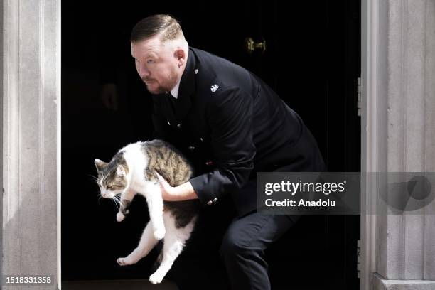 Larry the Cat is seen as British Prime Minister Rishi Sunak and the US President Joe Biden meet at 10 Downing Street in London, United Kingdom on...