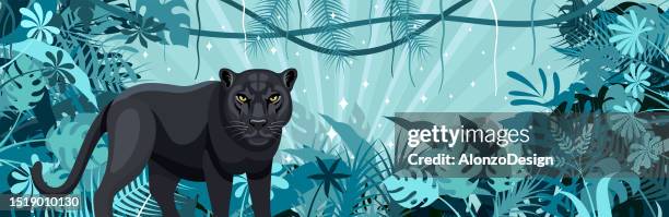 black leopard in the jungle. mascot creative logo design. tropical rainforest banner. jungle frame poster. - black panther face 幅插畫檔、美工圖案、卡通及圖標