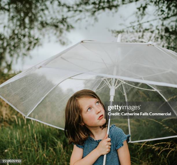 a sad little girl takes shelter under a large, transparent umbrella - girl looking down stock pictures, royalty-free photos & images