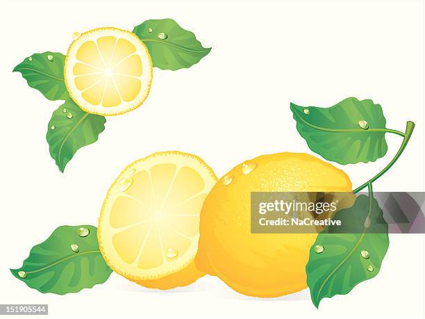 lemon fruit with leaves - lemon slice white background stock illustrations