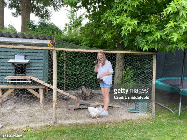 taking care of the chickens - the coop stock pictures, royalty-free photos & images