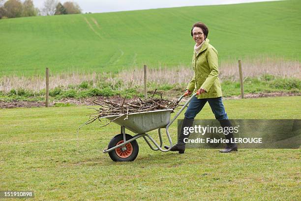 woman pushing a wheelbarrow full of branches - brouette photos et images de collection