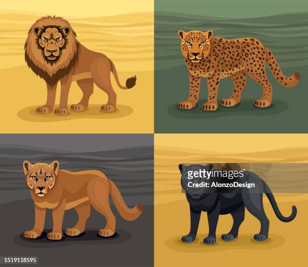 ilustraciones, imágenes clip art, dibujos animados e iconos de stock de león. leopardo. puma. leopardo negro. logotipo de vector big cats head. diseño creativo de mascotas. - piel leopardo