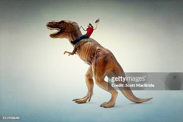 dinosaur rider - scott macbride stock pictures, royalty-free photos & images