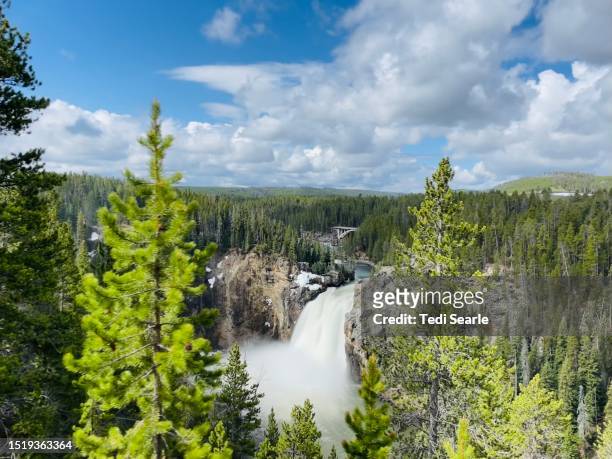 upper falls yellowstone national park - midway geyser basin stock pictures, royalty-free photos & images