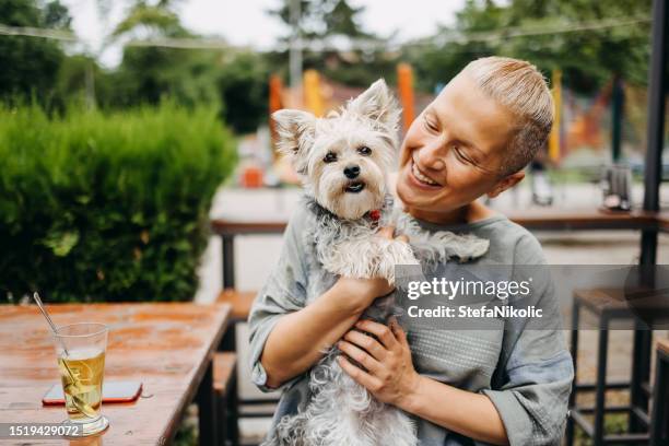 woman spends time in a cafe with a dog - alleen één mid volwassen vrouw stockfoto's en -beelden