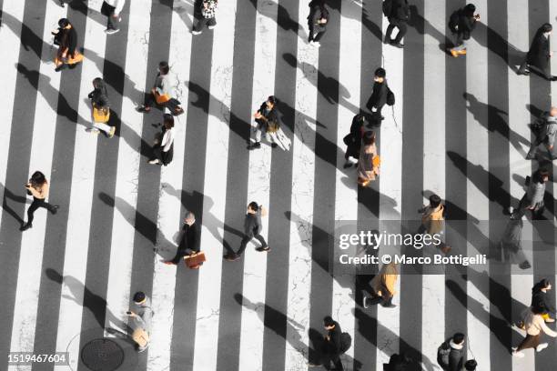 commuters walking at shibuya crossing, tokyo - paso de cebra fotografías e imágenes de stock