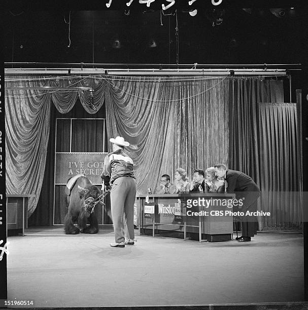 Guest with buffalo. Show Host:Gary Moore. Panelists: Betsy Palmer, Jayne Meadows, Bill Cullen, Henry Morgan.