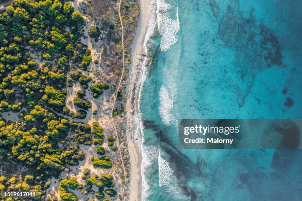aerial view of the sea and the overgrown coastline. - insel formentera stock-fotos und bilder