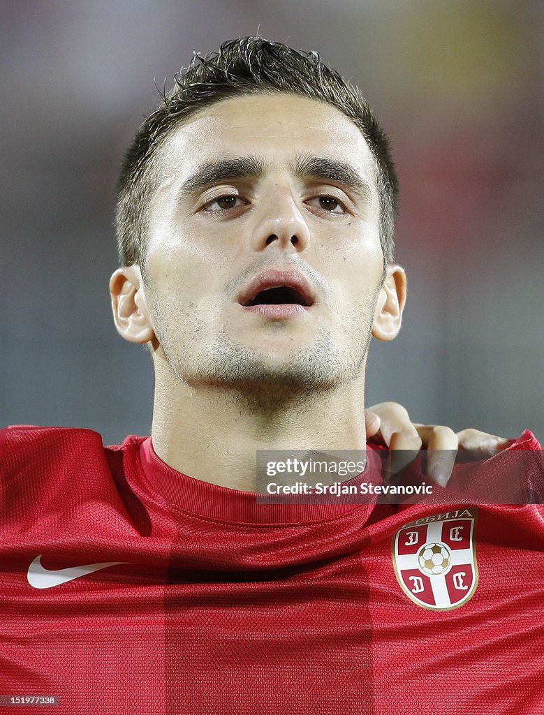 Serbia v Wales  - FIFA 2014 World Cup Qualifier