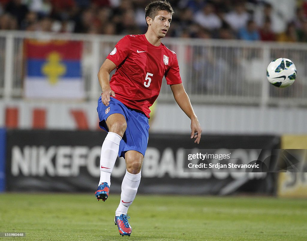 Serbia v Wales - FIFA 2014 World Cup Qualifier