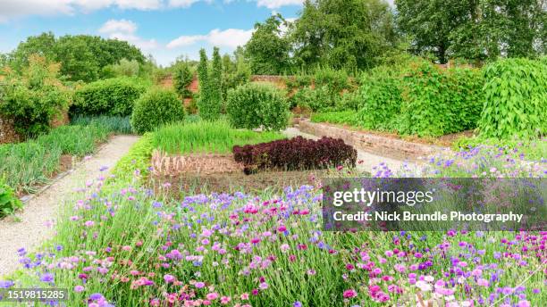 an english country garden. - flower bed stock pictures, royalty-free photos & images