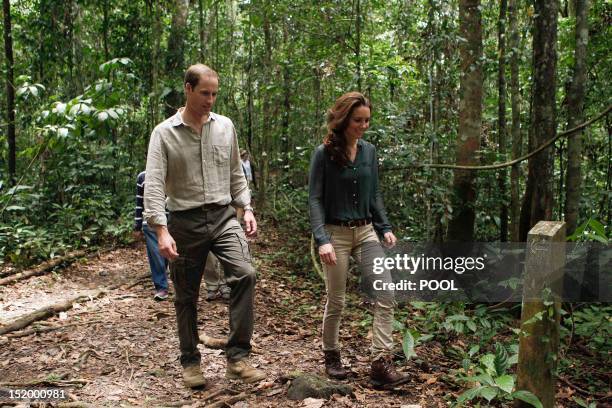 Britain's Prince William and his wife Catherine, the Duchess of Cambridge, walk through the rainforest in Danum Valley Research Center in Danum...