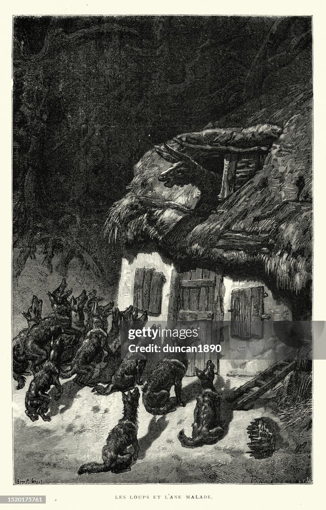 The Wolves and The Sick Ass, Fables of Aesop, Moral of the story Don’t believe all rumors