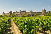 Medieval town of Carcassonne surrounded by vineyards