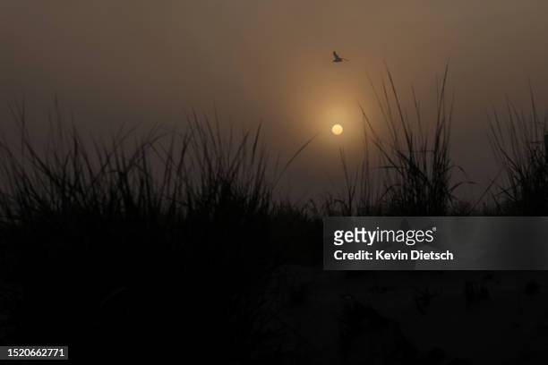 The sunrises behind beachgrass as the Army Corp of Engineers continues their beach and dune replenishment project on July 06, 2023 in Bethany Beach,...