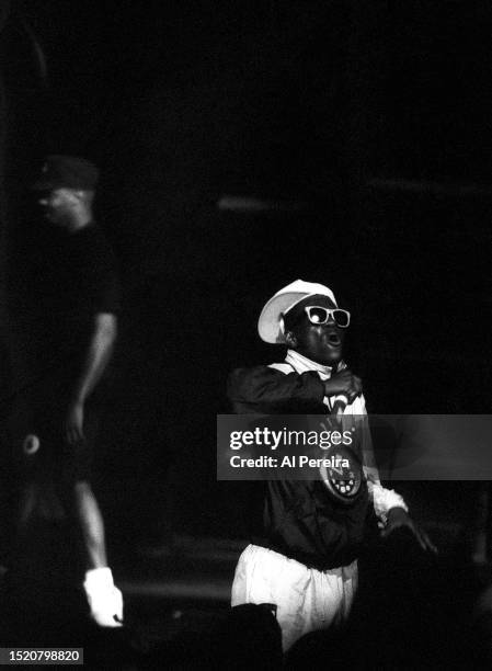 Rapper Flavor Flav of Public Enemy performs at Radio City Music Hall on July 24, 1991 in New York City.