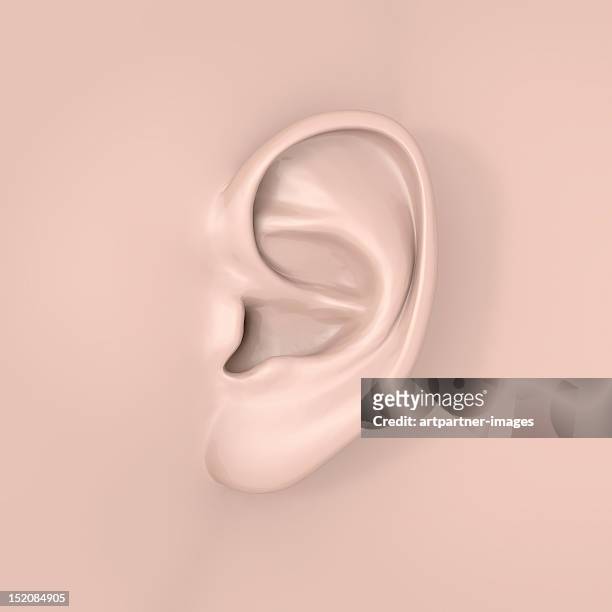 a human ear close-up - human ear foto e immagini stock