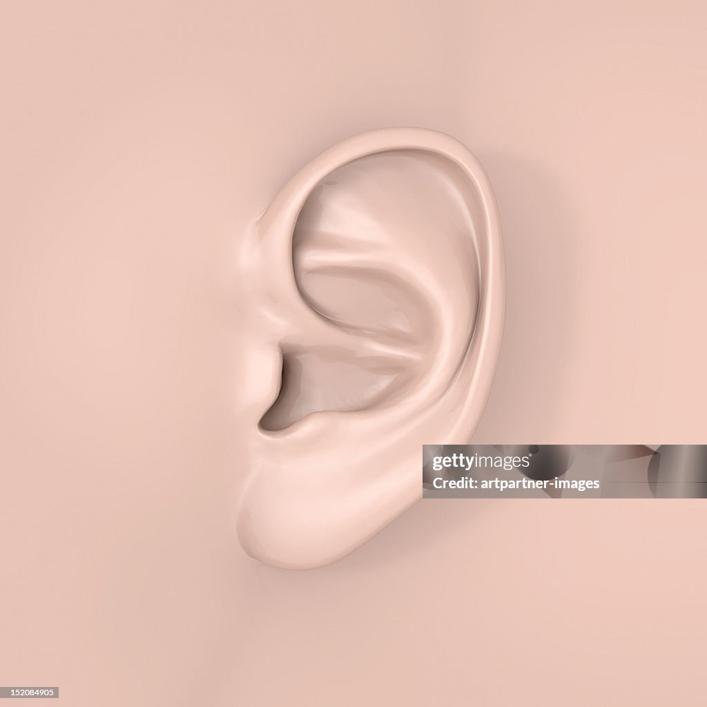 A human ear close-up