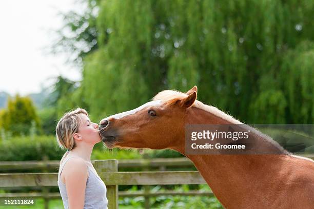 kisses-pretty blond girl kisses nose of beautiful chestnut pony. - adonis shropshire stock pictures, royalty-free photos & images