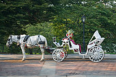 Central Park Buggy