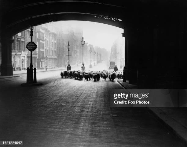 Sheep being driven through a tunnel at Ludgate Circus, where Farringdon Street and New Bridge Street cross Fleet Street and Ludgate Hill, in the City...