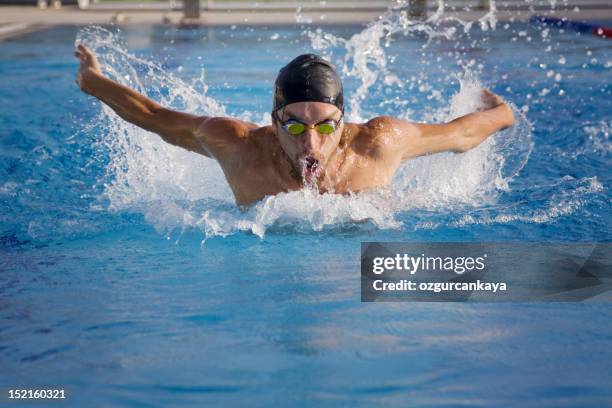 swimmer - butterfly stroke stock pictures, royalty-free photos & images