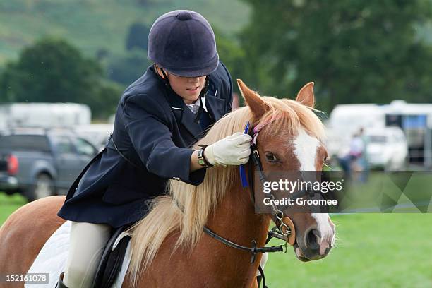 well done!-rider places rossette on pony after winning competition. - awards show bildbanksfoton och bilder