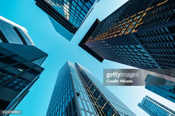 modern bank towers in frankfurt at late afternoon, captured in wide angle - frankfurt am main stockfoto's en -beelden