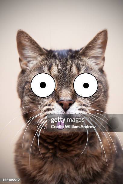 crazy cat with illustrated face - cat sticking tongue out stock illustrations