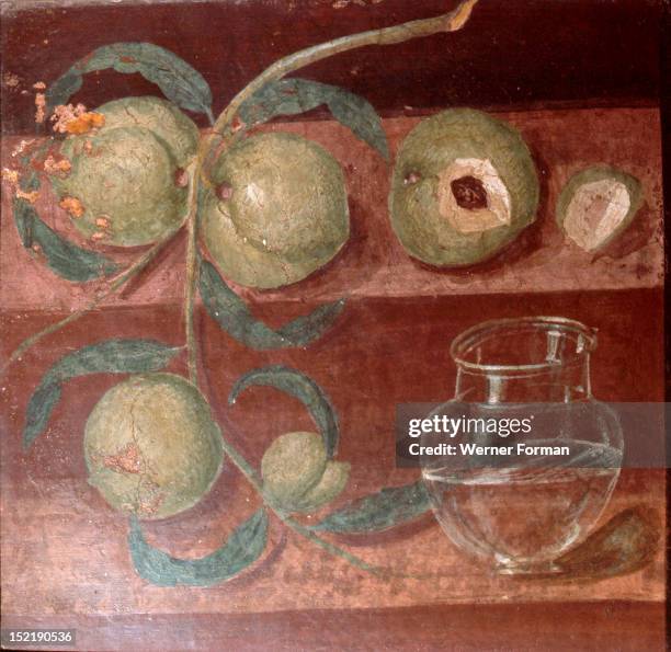 Fruit and vase, Italy. Roman. Pompei.