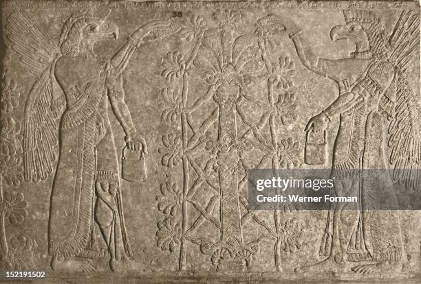 Winged Genie Photos and Premium High Res Pictures Getty Images