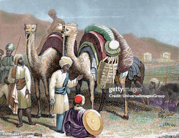 Silk Road, Caravan of camels resting, Antioch, Nineteenth-century colored engraving.