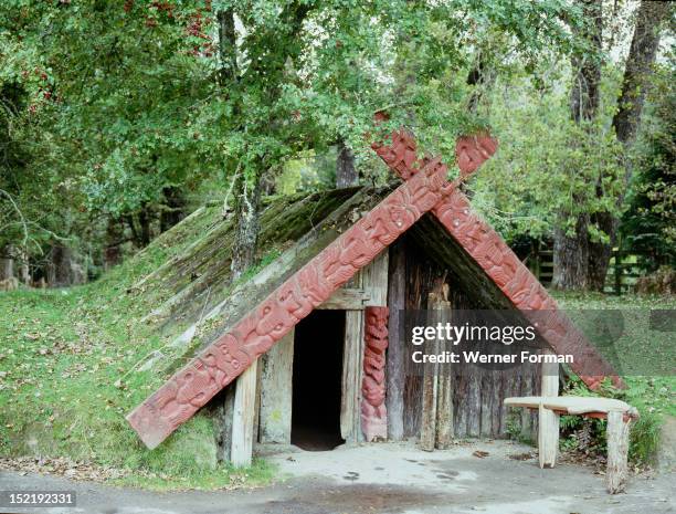 The house of the tohunga Tuhoto at the village of Te Wairoa, which was buried by the eruption of the volcano Mt,Tarawera in 1886. It is said that...