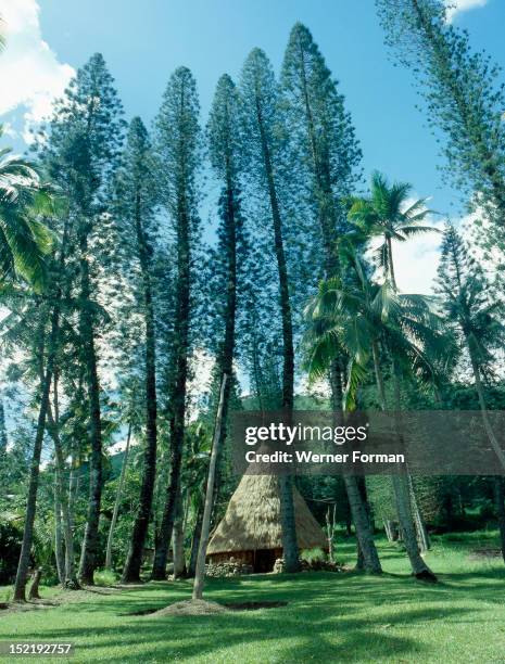 Circle of tall trees surrounds a meeting house on New Caledonia, New Caledonia. 1970.