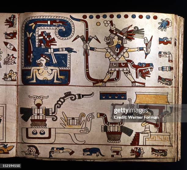 Codex Beast Sexual Beast Photos and Premium High Res Pictures - Getty Images