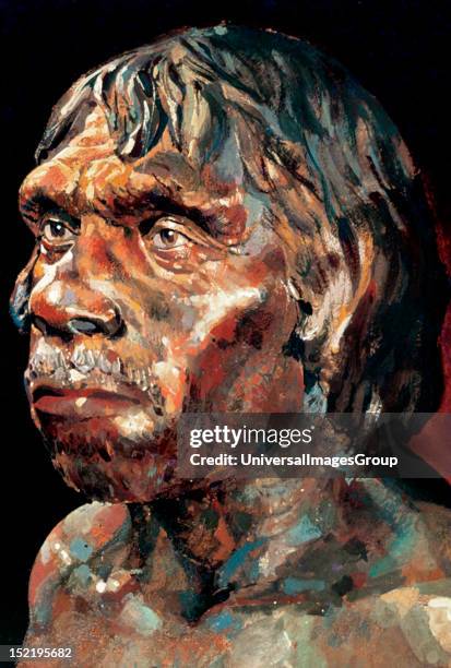 Upper Paleolithic, Drawing depicting Tautavel Man., Caune de L'Arago, Tautavel, France.