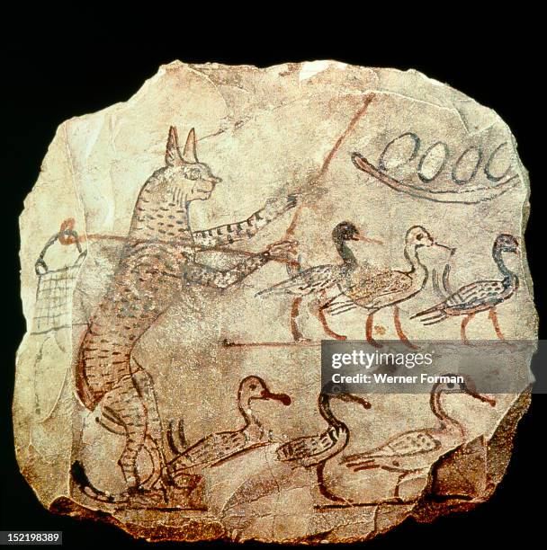 Drawing on limestone of a scene from a fable, A cat with a shepherds crook and a bag over his shoulder guards six geese and a nest of eggs Egypt....