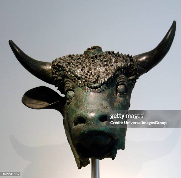 Pacifi Rome Bull 1,664 Bull Museum Stock Photos, High-Res Pictures, and Images - Getty ...
