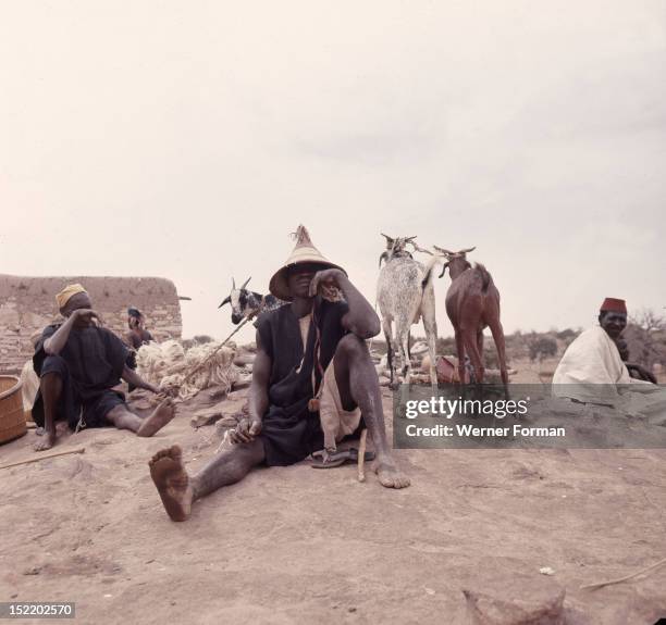 Dogon farmers and their animals Mali, Dogon. Late 1950's - early 1960's. Bandiagara cliffs.