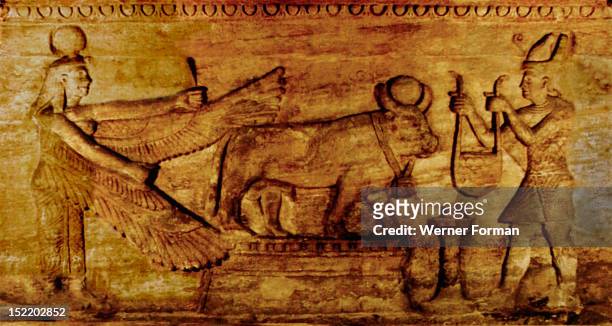 Offering scene with the sacred bull, Apis, The dead man is offering to the bull while Isis behind spreads her wings in protection. Apis served as the...