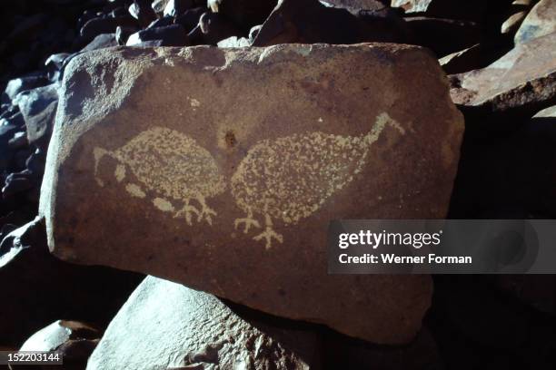 Rock carving of bush turkeys, Australia. Aboriginal. Burrup peninsula, Pilbara, Western Australia.