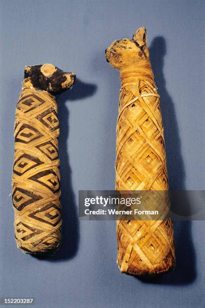 Mummy of a dog and of a cat, Egypt. Pharaonic.
