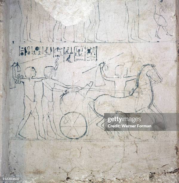 Preparatory drawing for a tomb relief depicting a horse and chariot, In tomb 9 of Mahu, the police chief and a courtier of Akhenaten. Egypt. Ancient...